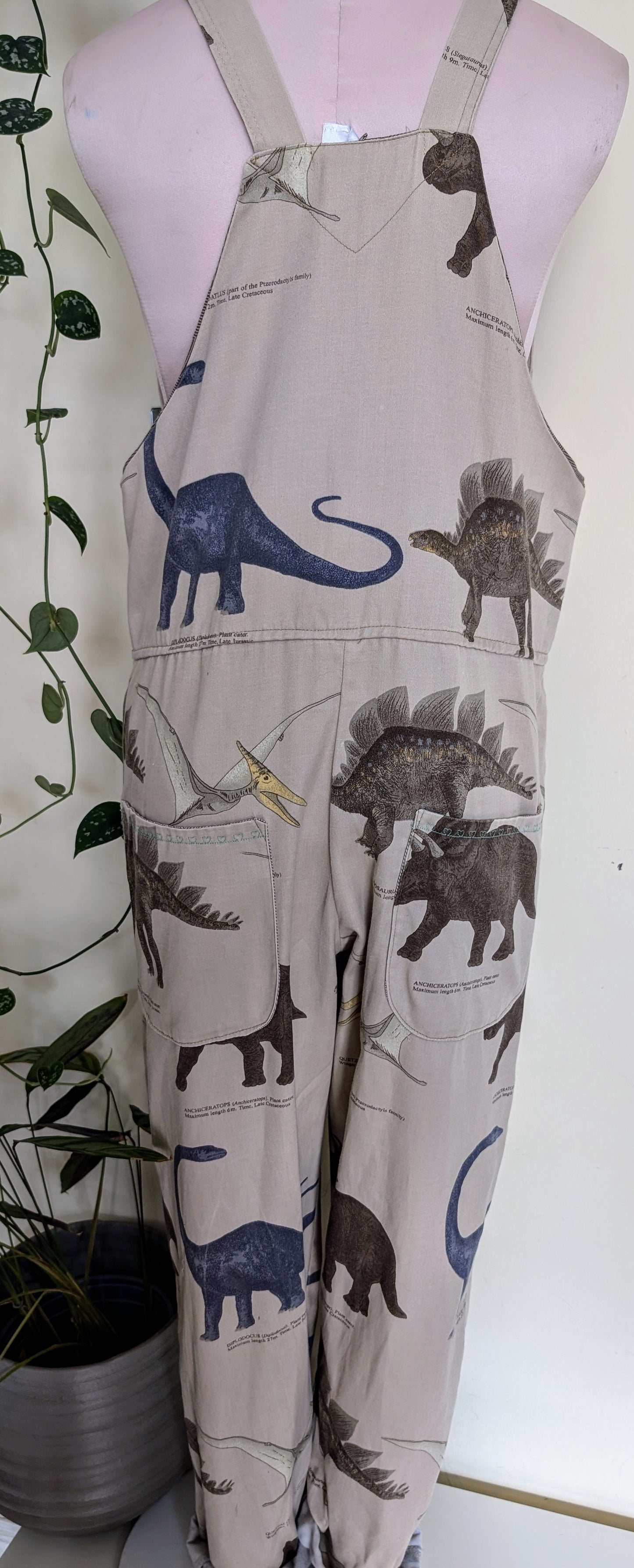 dungarees size 10 dinosaur, prehistoric themed dungarees, novelty overalls, RelovedDesignsbyDawn